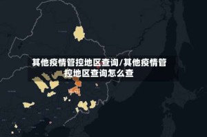 其他疫情管控地区查询/其他疫情管控地区查询怎么查