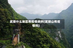 武陵什么地区有疫情病例(武陵山有疫情吗)