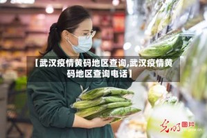 【武汉疫情黄码地区查询,武汉疫情黄码地区查询电话】