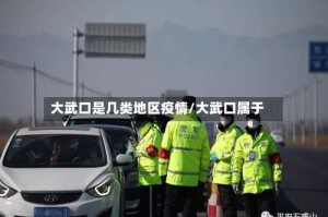 大武口是几类地区疫情/大武口属于