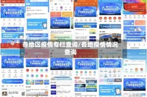 各地区疫情专栏查询/各地疫情情况查询