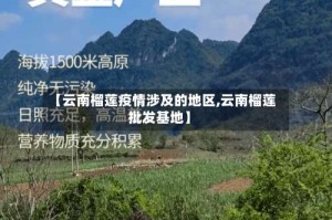 【云南榴莲疫情涉及的地区,云南榴莲批发基地】