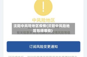 沈阳中风险地区疫情(沈阳中风险地区包括哪些)