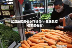 武汉地区疫情小花钱包(小花钱包疫情期间催收)