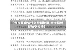 【金乡是疫情什么级别地区,金乡县新型肺炎疫情】