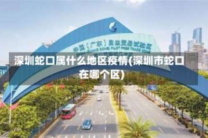 深圳蛇口属什么地区疫情(深圳市蛇口在哪个区)