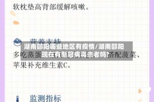 湖南邵阳哪些地区有疫情/湖南邵阳现在有新冠病毒患者吗?
