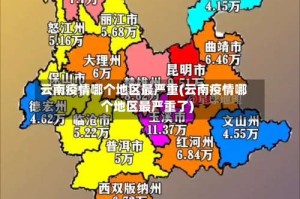 云南疫情哪个地区最严重(云南疫情哪个地区最严重了)
