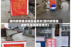 国内疫情重点地区暴露史(国内疫情重点地区是指哪些地方)