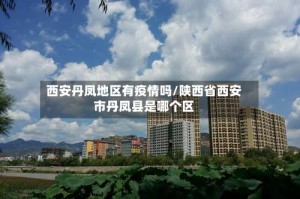 西安丹凤地区有疫情吗/陕西省西安市丹凤县是哪个区
