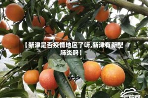 【新津是否疫情地区了呀,新津有新型肺炎吗】