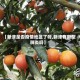 【新津是否疫情地区了呀,新津有新型肺炎吗】