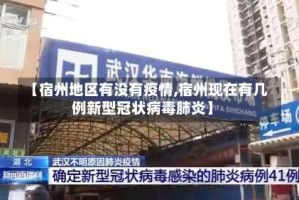 【宿州地区有没有疫情,宿州现在有几例新型冠状病毒肺炎】