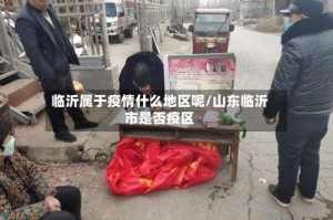 临沂属于疫情什么地区呢/山东临沂市是否疫区