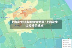 上海发生较多的疫情地区/上海发生过疫情的地点