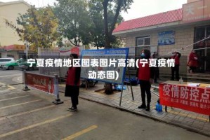 宁夏疫情地区图表图片高清(宁夏疫情动态图)