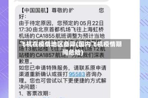 飞机在疫情地区备降(国内飞机疫情期间危险)