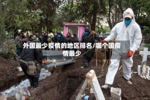 外国最少疫情的地区排名/哪个国疫情最少