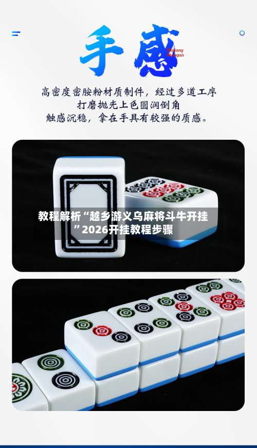 教程解析“越乡游义乌麻将斗牛开挂”2026开挂教程步骤-第2张图片