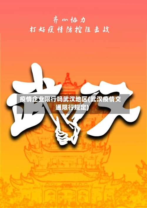 疫情企业限行吗武汉地区(武汉疫情交通限行规定)-第1张图片