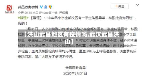 【洪山武昌地区有疫情吗,武汉武昌洪山】-第2张图片