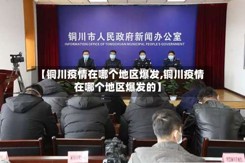 【铜川疫情在哪个地区爆发,铜川疫情在哪个地区爆发的】-第3张图片
