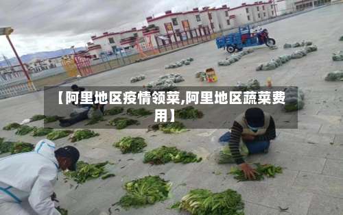 【阿里地区疫情领菜,阿里地区蔬菜费用】-第2张图片