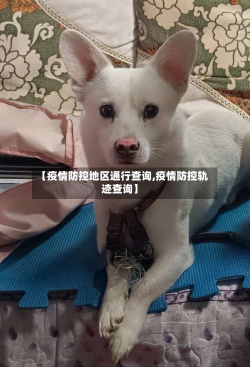 【疫情防控地区通行查询,疫情防控轨迹查询】-第2张图片