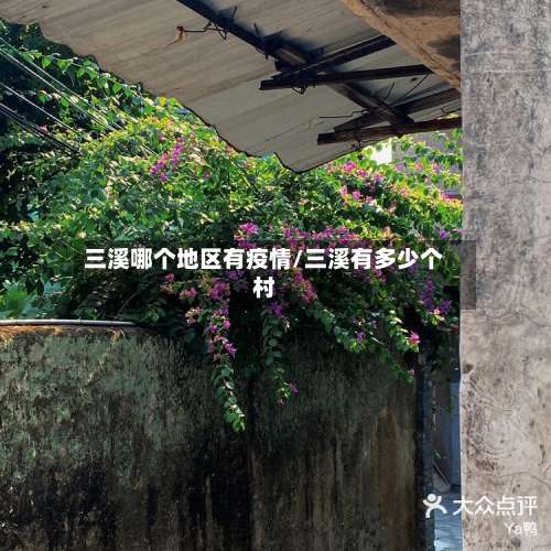 三溪哪个地区有疫情/三溪有多少个村-第3张图片