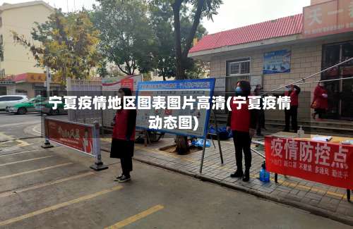 宁夏疫情地区图表图片高清(宁夏疫情动态图)-第1张图片