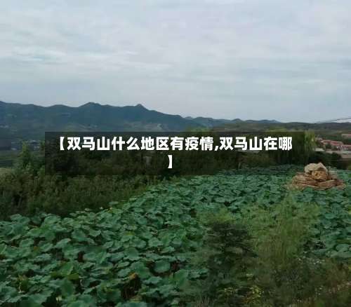 【双马山什么地区有疫情,双马山在哪】-第3张图片