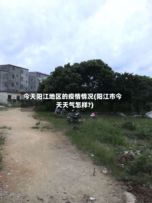 今天阳江地区的疫情情况(阳江市今天天气怎样?)-第1张图片