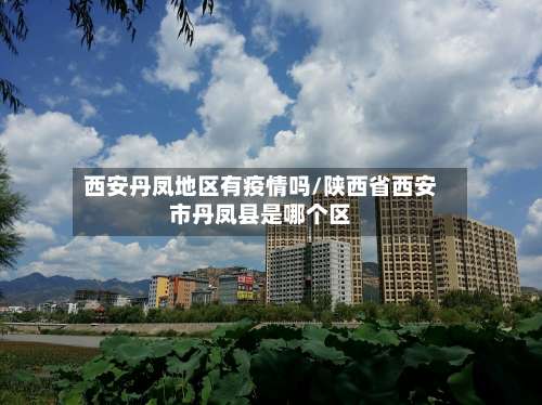 西安丹凤地区有疫情吗/陕西省西安市丹凤县是哪个区-第1张图片