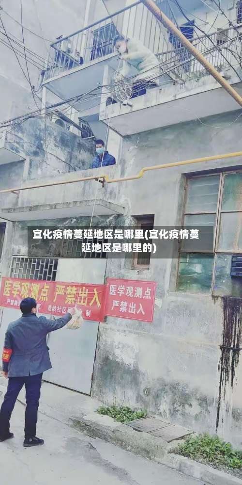 宣化疫情蔓延地区是哪里(宣化疫情蔓延地区是哪里的)-第3张图片