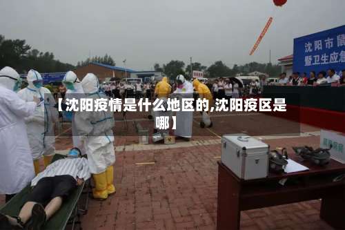 【沈阳疫情是什么地区的,沈阳疫区是哪】-第2张图片