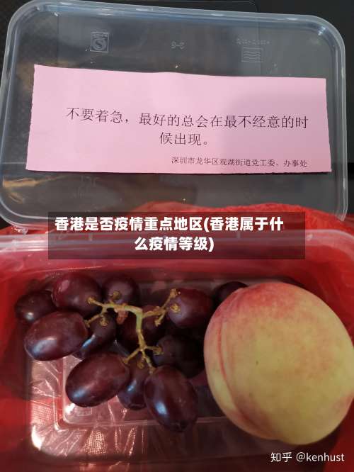 香港是否疫情重点地区(香港属于什么疫情等级)-第3张图片