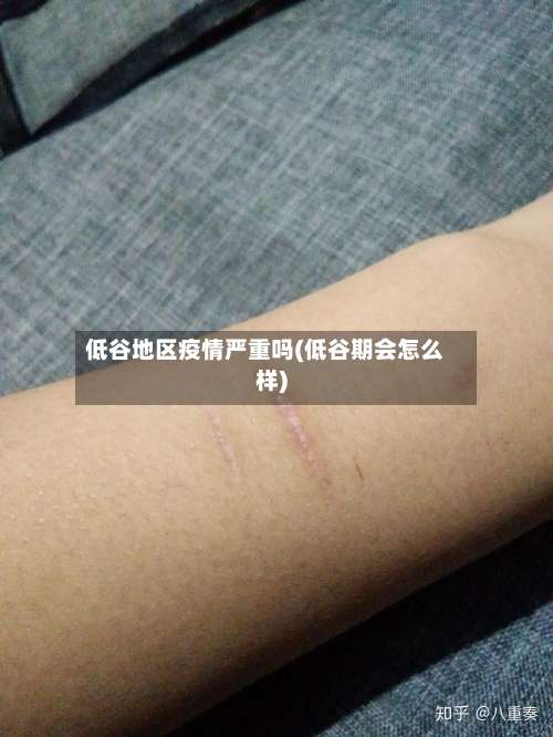 低谷地区疫情严重吗(低谷期会怎么样)-第1张图片