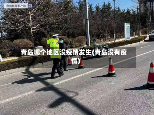 青岛哪个地区没疫情发生(青岛没有疫情)-第2张图片