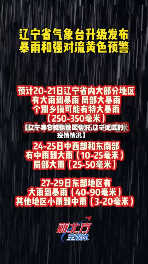 【辽宁其它疫情地区情况,辽宁地区的疫情情况】-第2张图片