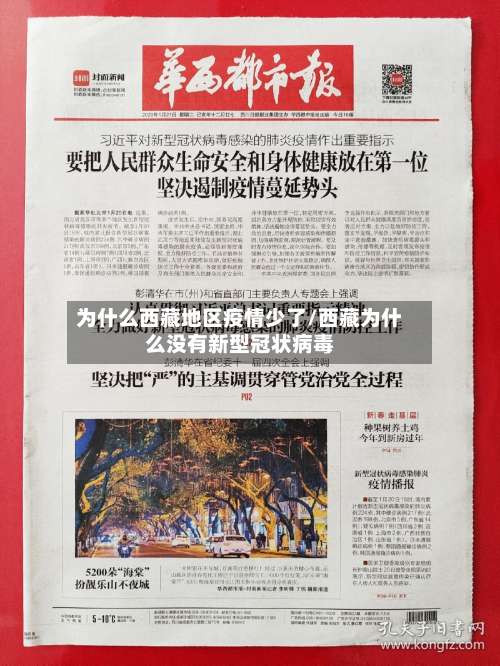 为什么西藏地区疫情少了/西藏为什么没有新型冠状病毒-第1张图片