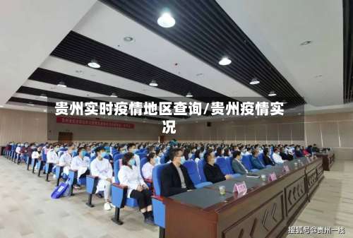 贵州实时疫情地区查询/贵州疫情实况-第2张图片