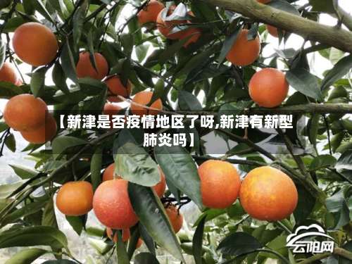 【新津是否疫情地区了呀,新津有新型肺炎吗】-第1张图片