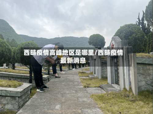 西畴疫情高峰地区是哪里/西畴疫情最新消息-第1张图片