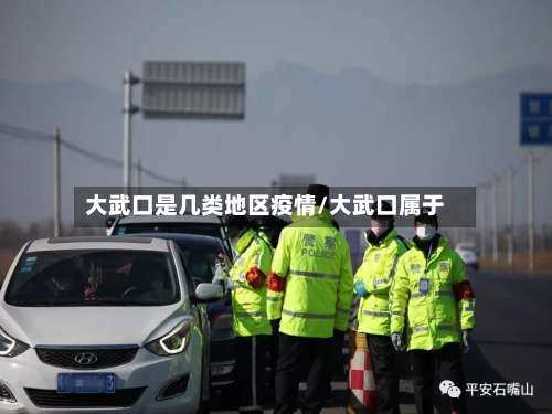 大武口是几类地区疫情/大武口属于-第1张图片