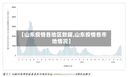【山东疫情各地区数据,山东疫情各市地情况】-第1张图片