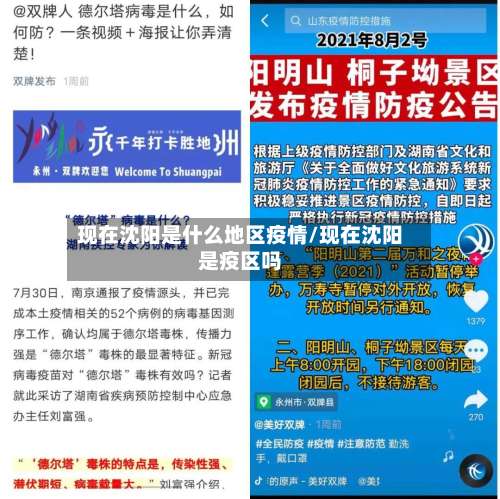 现在沈阳是什么地区疫情/现在沈阳是疫区吗-第1张图片