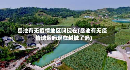 岳池有无疫情地区吗现在(岳池有无疫情地区吗现在封城了吗)-第2张图片