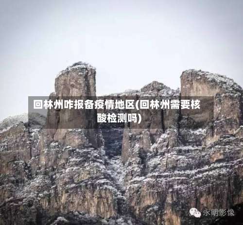 回林州咋报备疫情地区(回林州需要核酸检测吗)-第1张图片