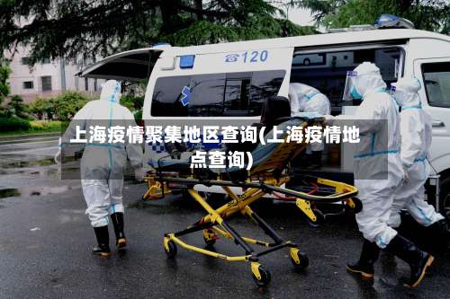 上海疫情聚集地区查询(上海疫情地点查询)-第3张图片