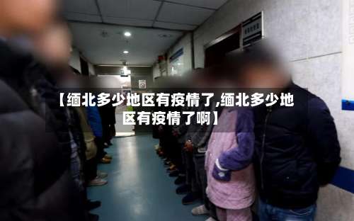 【缅北多少地区有疫情了,缅北多少地区有疫情了啊】-第2张图片